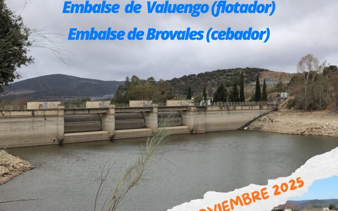 TROFEO DE PESCA CON FLOTADOR Y CEBADOR DIPUTACIÓN DE BADAJOZ 2025